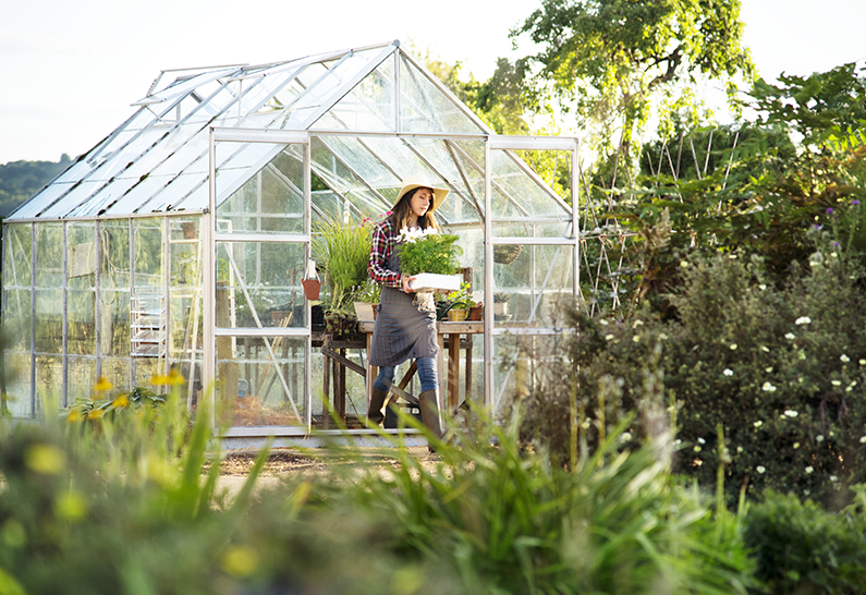 4mm Polycarbonate alvéolaire Transparent pour Serre de jardin - Sur mesure