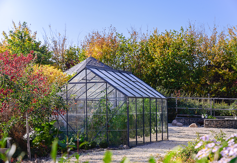 3mm Polycarbonate Compact Transparent pour Serre de Jardin - Sur mesure